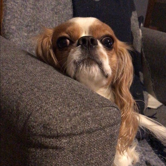 Meet your Posher, Cristina - Picture 2 of 2